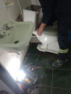 Reparacion-de-wc